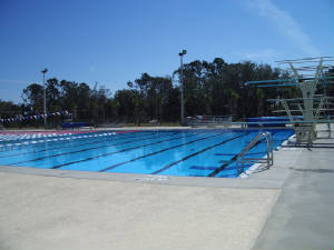 ncac.jpg