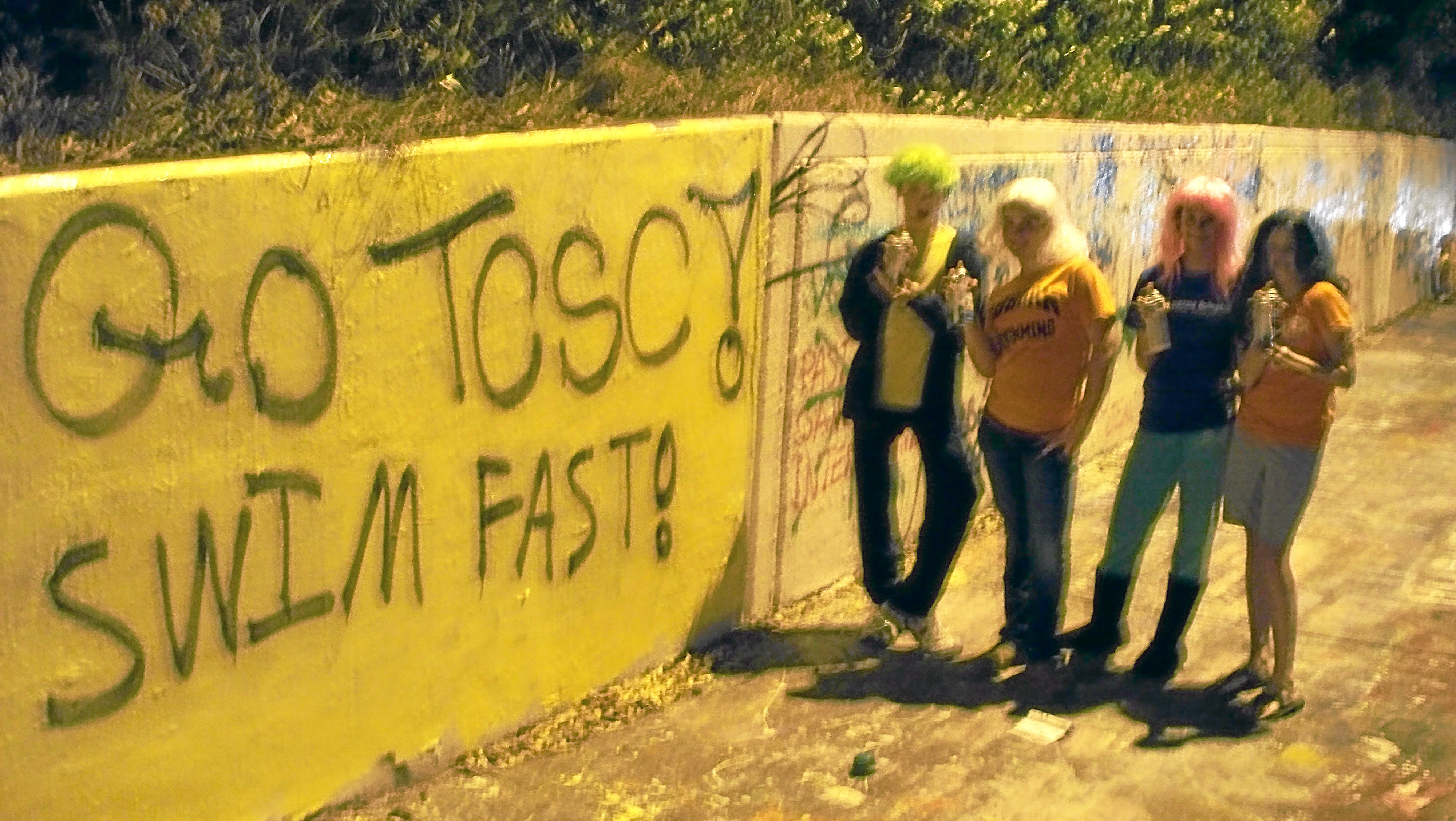 gatormeetwall.jpg