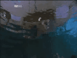 thgtgswimming8.gif